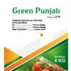 Green Punjab - Image 3