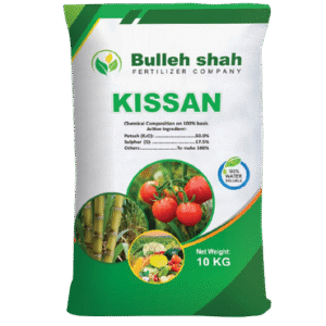 Kissan