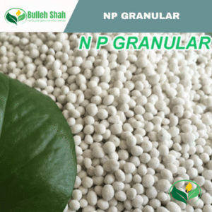 NP granular imported