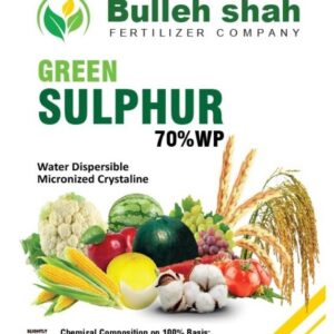 Green Sulphur